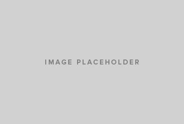 Scutellaria indica parvifolia